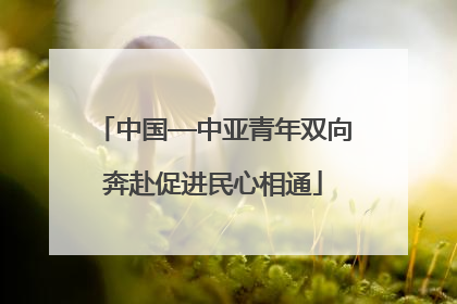 中国—中亚青年双向奔赴促进民心相通