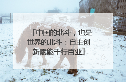 中国的北斗，也是世界的北斗：自主创新赋能千行百业