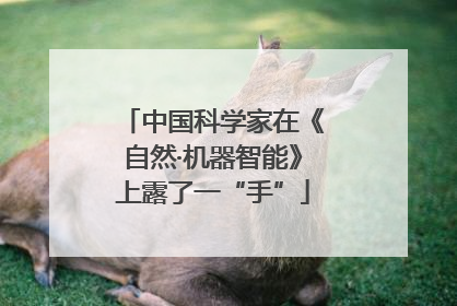 中国科学家在《自然·机器智能》上露了一“手”