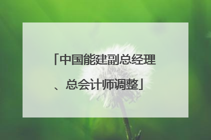 中国能建副总经理、总会计师调整