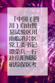 中国（四川）自由贸易试验区川南临港片区党工委书记谭荣兵一行赴岳阳城陵矶综保区考察