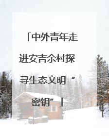 中外青年走进安吉余村探寻生态文明“密钥”