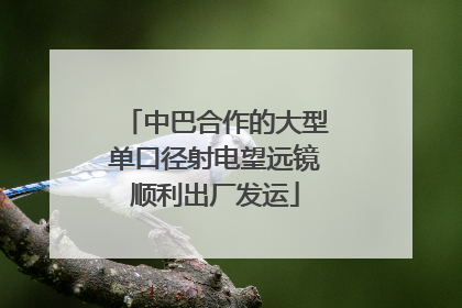 中巴合作的大型单口径射电望远镜顺利出厂发运