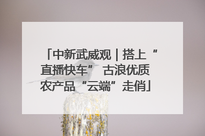 中新武威观｜搭上“直播快车” 古浪优质农产品“云端”走俏