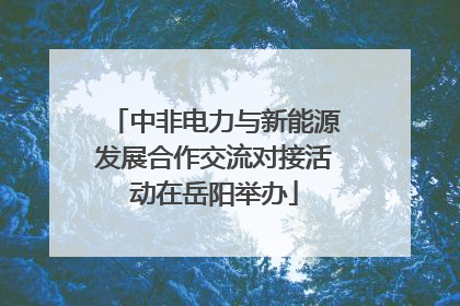 中非电力与新能源发展合作交流对接活动在岳阳举办