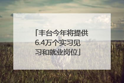 丰台今年将提供6.4万个实习见习和就业岗位
