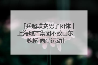 乒超联赛男子团体｜上海地产集团不敌山东魏桥·向尚运动