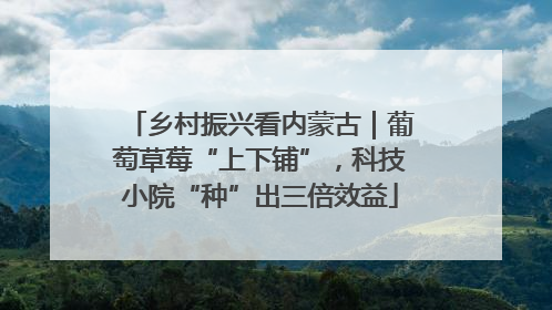 乡村振兴看内蒙古｜葡萄草莓“上下铺”，科技小院“种”出三倍效益