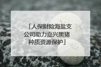 人保财险海盐支公司助力嘉兴黑猪种质资源保护