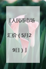 人民币市场汇价（5月29日）