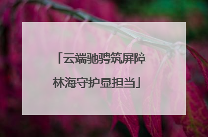 云端驰骋筑屏障 林海守护显担当