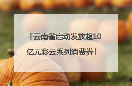 云南省启动发放超10亿元彩云系列消费券