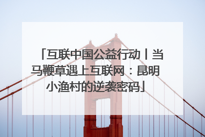 互联中国公益行动丨当马鞭草遇上互联网：昆明小渔村的逆袭密码