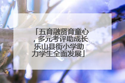 五育融贤育童心，多元考评助成长 乐山县街小学助力学生全面发展