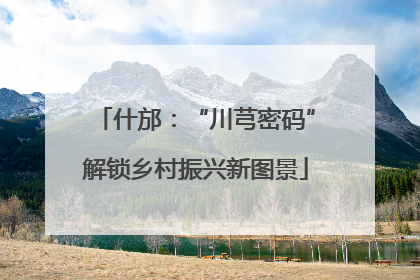 什邡：“川芎密码”解锁乡村振兴新图景