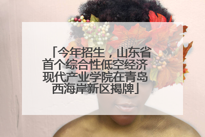 今年招生，山东省首个综合性低空经济现代产业学院在青岛西海岸新区揭牌