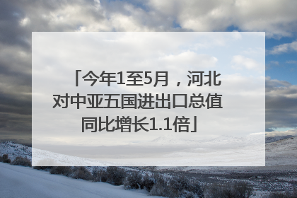 今年1至5月，河北对中亚五国进出口总值同比增长1.1倍