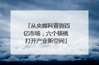 从央媒科普到百亿市场，六个核桃打开产业新空间