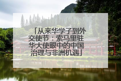 从来华学子到外交使节：索马里驻华大使眼中的中国治理与非洲机遇
