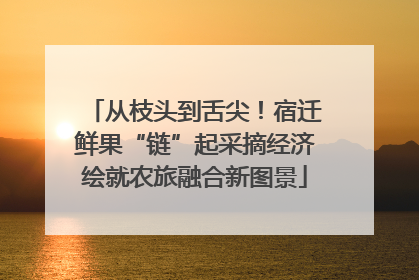 从枝头到舌尖！宿迁鲜果“链”起采摘经济绘就农旅融合新图景