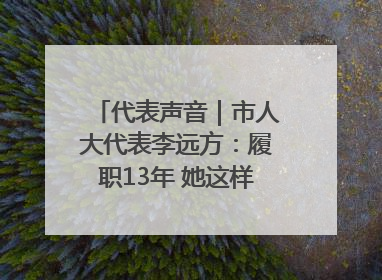 代表声音｜市人大代表李远方：履职13年 她这样“找”建议