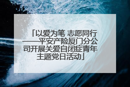 以爱为笔 志愿同行——平安产险厦门分公司开展关爱自闭症青年主题党日活动