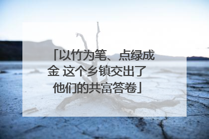 以竹为笔、点绿成金 这个乡镇交出了他们的共富答卷