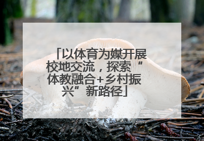 以体育为媒开展校地交流，探索“体教融合+乡村振兴”新路径