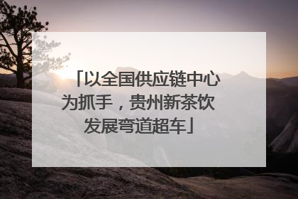以全国供应链中心为抓手，贵州新茶饮发展弯道超车