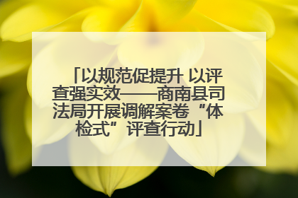 以规范促提升 以评查强实效——商南县司法局开展调解案卷“体检式”评查行动