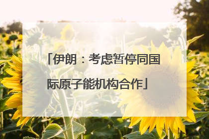 伊朗：考虑暂停同国际原子能机构合作