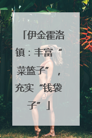 伊金霍洛镇：丰富“菜篮子”，充实“钱袋子”