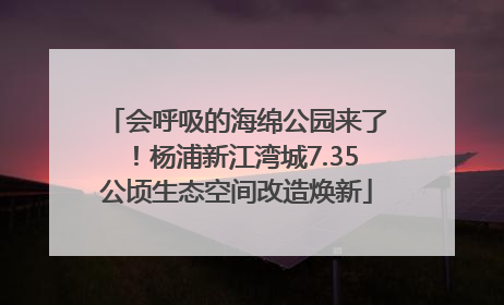 会呼吸的海绵公园来了！杨浦新江湾城7.35公顷生态空间改造焕新