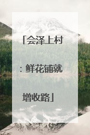 会泽上村：鲜花铺就增收路