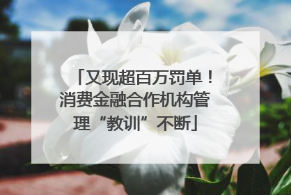 又现超百万罚单！消费金融合作机构管理“教训”不断