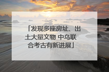 发现多座房址、出土大量文物 中乌联合考古有新进展