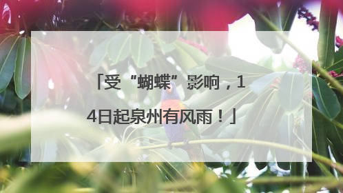 受“蝴蝶”影响，14日起泉州有风雨！