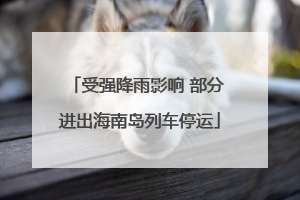 受强降雨影响 部分进出海南岛列车停运