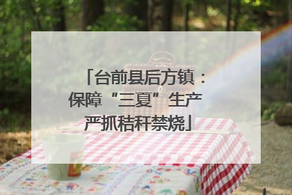台前县后方镇：保障“三夏”生产 严抓秸秆禁烧