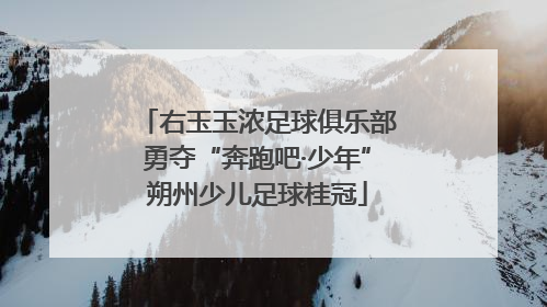 右玉玉浓足球俱乐部勇夺“奔跑吧·少年”朔州少儿足球桂冠