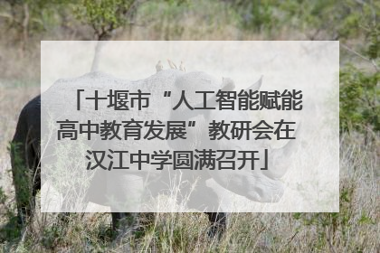 十堰市“人工智能赋能高中教育发展”教研会在汉江中学圆满召开