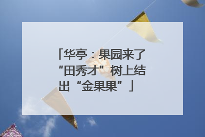 华亭：果园来了“田秀才”树上结出“金果果”