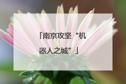 南京攻坚“机器人之城”