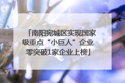 南阳宛城区实现国家级重点“小巨人”企业零突破1家企业上榜