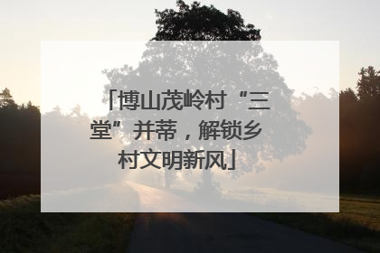 博山茂岭村“三堂”并蒂，解锁乡村文明新风