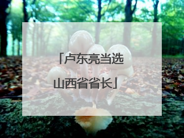 卢东亮当选山西省省长