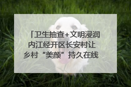 卫生抽查+文明浸润 内江经开区长安村让乡村“美颜”持久在线｜万千气象看四川