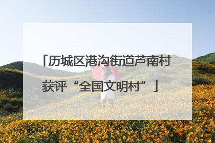 历城区港沟街道芦南村获评“全国文明村”