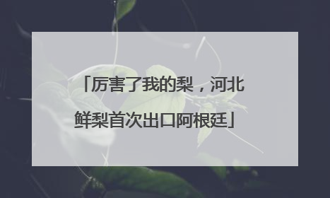 厉害了我的梨，河北鲜梨首次出口阿根廷