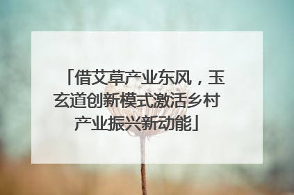 借艾草产业东风，玉玄道创新模式激活乡村产业振兴新动能